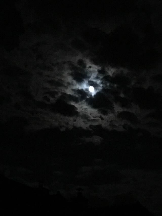 Noire est la nuit